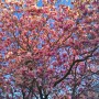 wpid-2012-03-26_07-48-05_HDR.jpg